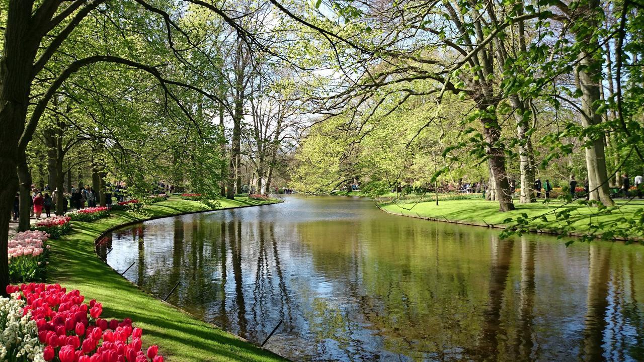 Boutique Suites Lisse - Keukenhof Eksteriør billede