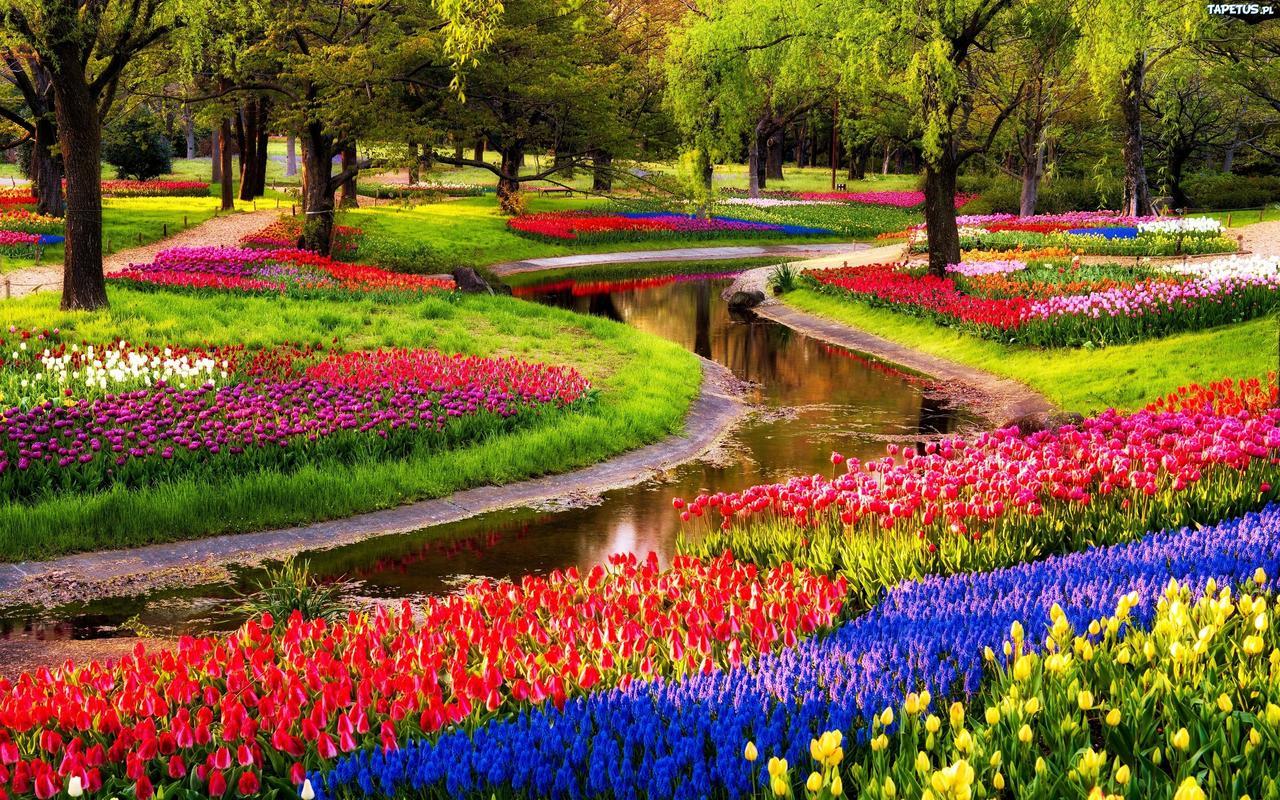 Boutique Suites Lisse - Keukenhof Eksteriør billede